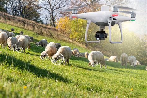 international animal technologies.
